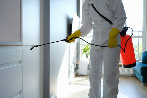 Best Affordable Mold Removal  in Vineyard, CA