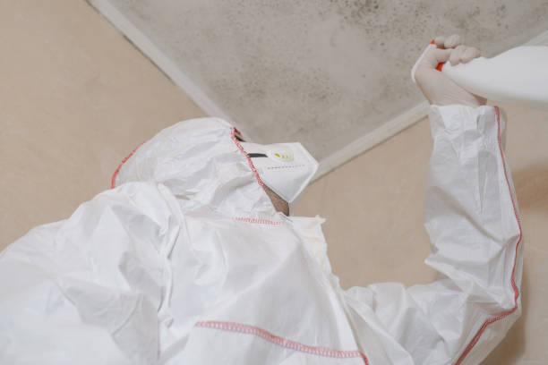 Best Emergency Mold Removal  in Vineyard, CA