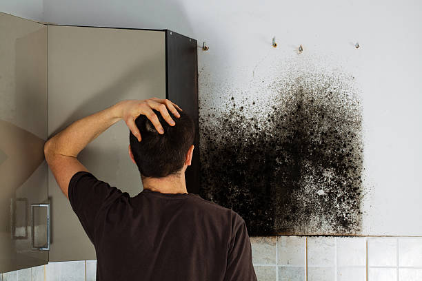 Crawl Space Mold Removal in Vineyard, CA
